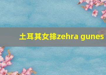 土耳其女排zehra gunes